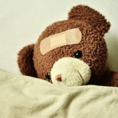 自宅で洗濯！汚れたぬいぐるみの洗い方