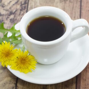 花がコーヒーに!?たんぽぽコーヒーの魅力について
