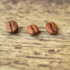 世界の珍コーヒー！採取方法は動物の”アレ”から…？