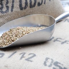 アメリカで人気のグリーンコーヒー！味や効果について解説！