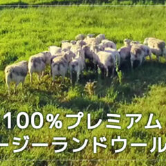 SmartSheepドライヤーボールはチウリの天然石鹸で洗浄し、製造しています