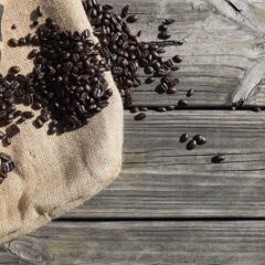 新発見！コーヒー豆にも存在する”旬”について