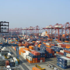 通関手続きと検疫審査が無事完了しました！SOLOCANOを順次配送いたします