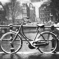 自転車が盗難に遭ったら？その時行う基本行動について