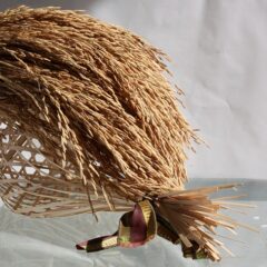 ノンカフェインで栄養満点！玄米コーヒーの魅力とは？